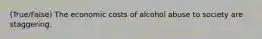 (True/False) The economic costs of alcohol abuse to society are staggering.