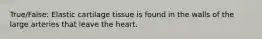 True/False: Elastic cartilage tissue is found in the walls of the large arteries that leave the heart.