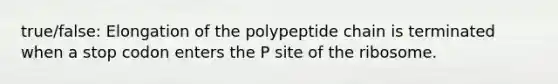 true/false: Elongation of the polypeptide chain is terminated when a stop codon enters the P site of the ribosome.