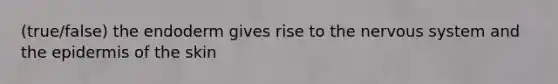 (true/false) the endoderm gives rise to the nervous system and the epidermis of the skin