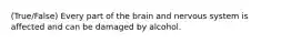 (True/False) Every part of the brain and nervous system is affected and can be damaged by alcohol.