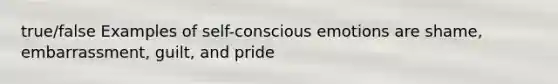 true/false Examples of self-conscious emotions are shame, embarrassment, guilt, and pride