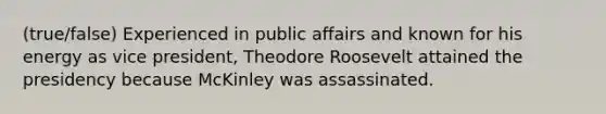 (true/false) Experienced in public affairs and known for his energy as vice president, Theodore Roosevelt attained the presidency because McKinley was assassinated.