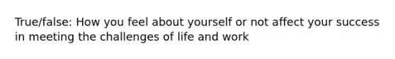 True/false: How you feel about yourself or not affect your success in meeting the challenges of life and work