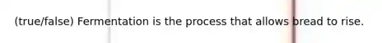 (true/false) Fermentation is the process that allows bread to rise.