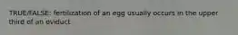 TRUE/FALSE: fertilization of an egg usually occurs in the upper third of an oviduct