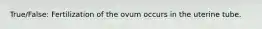 True/False: Fertilization of the ovum occurs in the uterine tube.