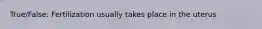 True/False: Fertilization usually takes place in the uterus