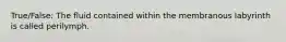 True/False: The fluid contained within the membranous labyrinth is called perilymph.