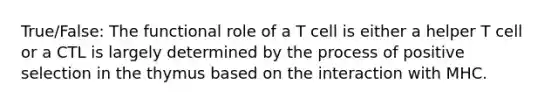 True/False: The functional role of a T cell is either a helper T cell or a CTL is largely determined by the process of positive selection in the thymus based on the interaction with MHC.