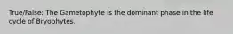 True/False: The Gametophyte is the dominant phase in the life cycle of Bryophytes.