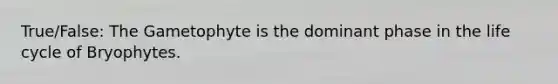 True/False: The Gametophyte is the dominant phase in the life cycle of Bryophytes.
