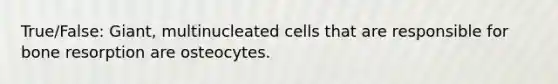 True/False: Giant, multinucleated cells that are responsible for bone resorption are osteocytes.