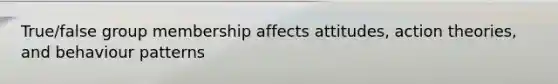 True/false group membership affects attitudes, action theories, and behaviour patterns