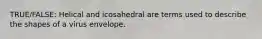 TRUE/FALSE: Helical and icosahedral are terms used to describe the shapes of a virus envelope.