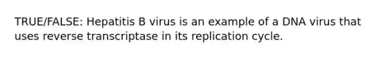 TRUE/FALSE: Hepatitis B virus is an example of a DNA virus that uses reverse transcriptase in its replication cycle.