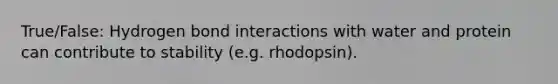 True/False: Hydrogen bond interactions with water and protein can contribute to stability (e.g. rhodopsin).