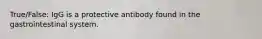 True/False: IgG is a protective antibody found in the gastrointestinal system.