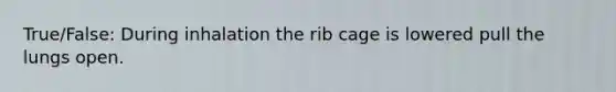 True/False: During inhalation the rib cage is lowered pull the lungs open.