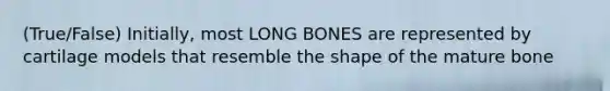 (True/False) Initially, most LONG BONES are represented by cartilage models that resemble the shape of the mature bone