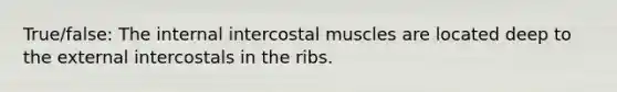 True/false: The internal intercostal muscles are located deep to the external intercostals in the ribs.