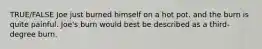 TRUE/FALSE Joe just burned himself on a hot pot. and the burn is quite painful. Joe's burn would best be described as a third-degree burn.