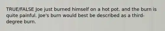 TRUE/FALSE Joe just burned himself on a hot pot. and the burn is quite painful. Joe's burn would best be described as a third-degree burn.