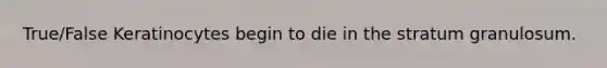 True/False Keratinocytes begin to die in the stratum granulosum.