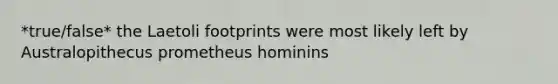 *true/false* the Laetoli footprints were most likely left by Australopithecus prometheus hominins