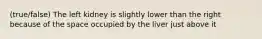 (true/false) The left kidney is slightly lower than the right because of the space occupied by the liver just above it