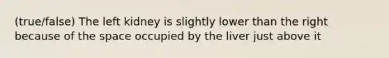 (true/false) The left kidney is slightly lower than the right because of the space occupied by the liver just above it