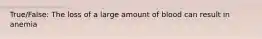 True/False: The loss of a large amount of blood can result in anemia