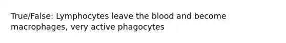 True/False: Lymphocytes leave the blood and become macrophages, very active phagocytes