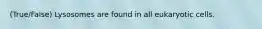 (True/False) Lysosomes are found in all eukaryotic cells.