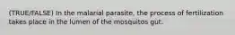 (TRUE/FALSE) In the malarial parasite, the process of fertilization takes place in the lumen of the mosquitos gut.