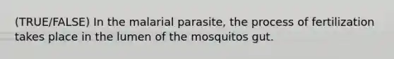 (TRUE/FALSE) In the malarial parasite, the process of fertilization takes place in the lumen of the mosquitos gut.