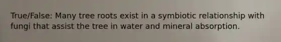True/False: Many tree roots exist in a symbiotic relationship with fungi that assist the tree in water and mineral absorption.