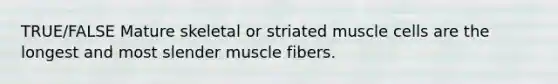 TRUE/FALSE Mature skeletal or striated muscle cells are the longest and most slender muscle fibers.