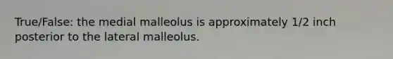 True/False: the medial malleolus is approximately 1/2 inch posterior to the lateral malleolus.