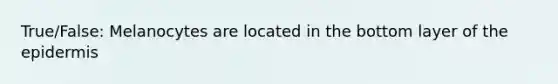 True/False: Melanocytes are located in the bottom layer of the epidermis