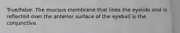 True/False: The mucous membrane that lines the eyelids and is reflected over the anterior surface of the eyeball is the conjunctiva.