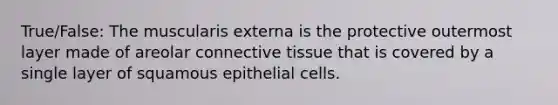 True/False: The muscularis externa is the protective outermost layer made of areolar connective tissue that is covered by a single layer of squamous epithelial cells.