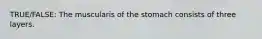 TRUE/FALSE: The muscularis of the stomach consists of three layers.