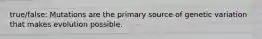 true/false: Mutations are the primary source of genetic variation that makes evolution possible.