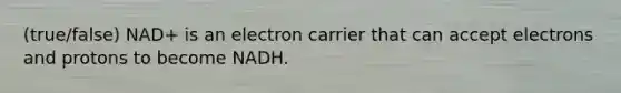 (true/false) NAD+ is an electron carrier that can accept electrons and protons to become NADH.