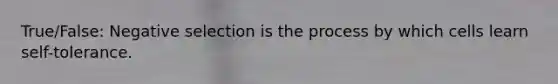 True/False: Negative selection is the process by which cells learn self-tolerance.