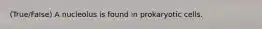 (True/False) A nucleolus is found in prokaryotic cells.