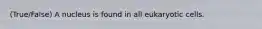 (True/False) A nucleus is found in all eukaryotic cells.