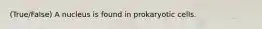 (True/False) A nucleus is found in prokaryotic cells.