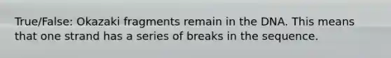 True/False: Okazaki fragments remain in the DNA. This means that one strand has a series of breaks in the sequence.